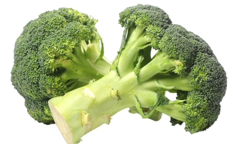 Vegetable