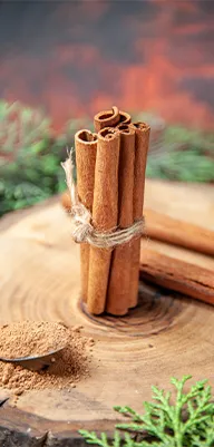 Cinnamon Bark